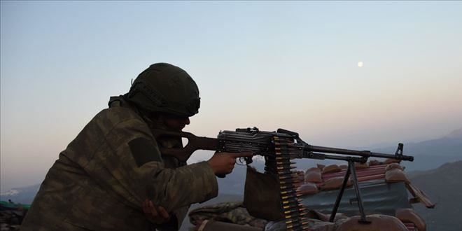 Şırnak'ta 2 terörist etkisiz hale getirildi