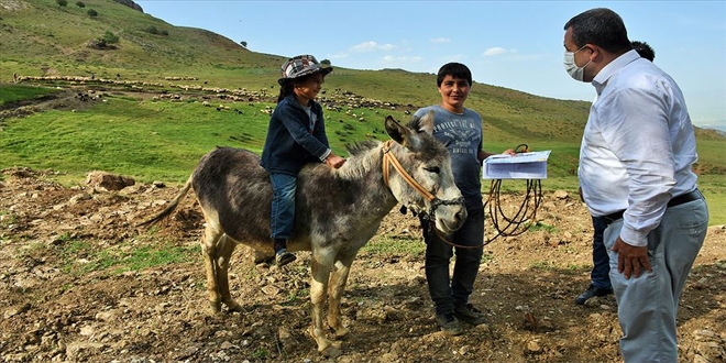 Yayla çocuklarına eğitimcilerden 'LGS sınavına hazırlık' desteği