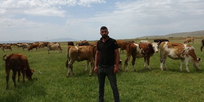 6 bin lira ücret karşılığında çoban bulamıyorlar