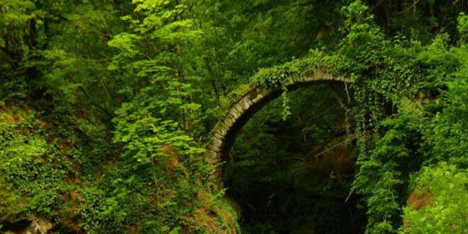 Artvin'de bir doğa harikası daha! Fotoğrafçılar buldu