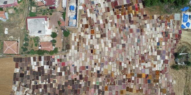 Hal� tarlalar� sezonu a�t�, arazilerde renk c�mb��� ya�and�