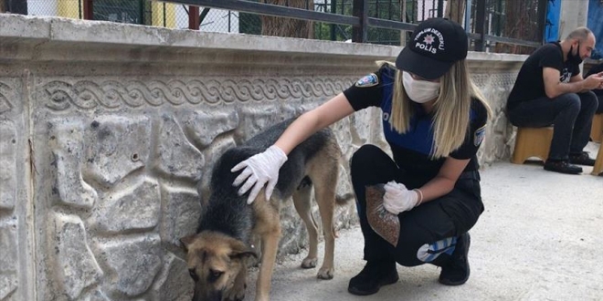 Adana'da polis sokak hayvanlar� i�in mama b�rakt�