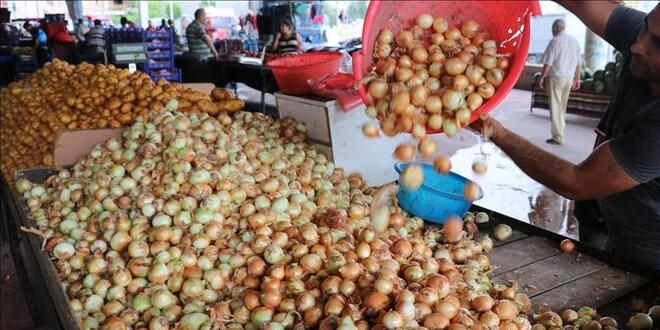Geçen yıl 6 liraya satılan soğan 50 kuruşa kadar düştü