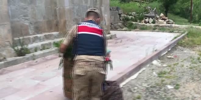 Jandarma yaşlı kadının sırtındaki ot dolu sepeti alarak evine kadar taşıdı