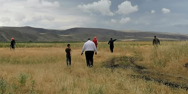 Çorum Valisi Çiftçi: Aslan emaresine rastlamadık