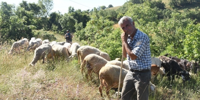 Koyunlar telef olan elikel iftinden Erdoan'a teekkr