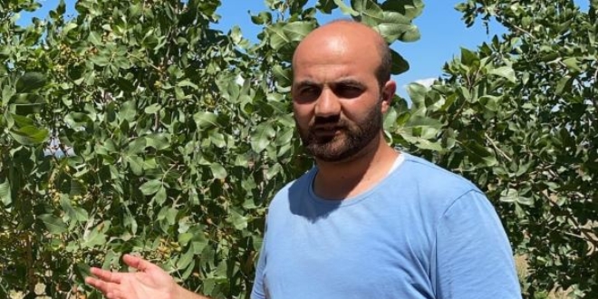 Öğretmen, Iğdır'ın en çorak bölgesinde Antep fıstığı yetiştirdi