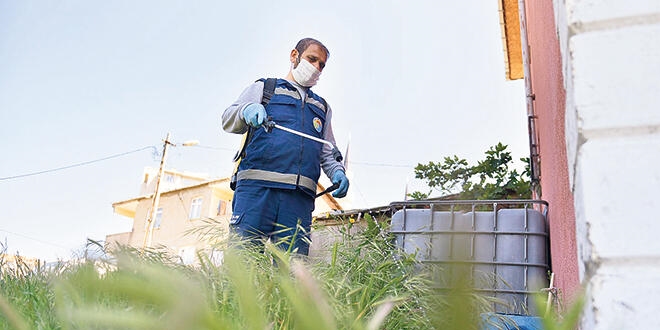 İstanbullular en çok 'sivri'den yakınıyor