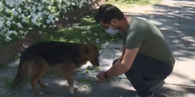 Polisin, sokak k�pe�ine su vermesi be�eni toplad�