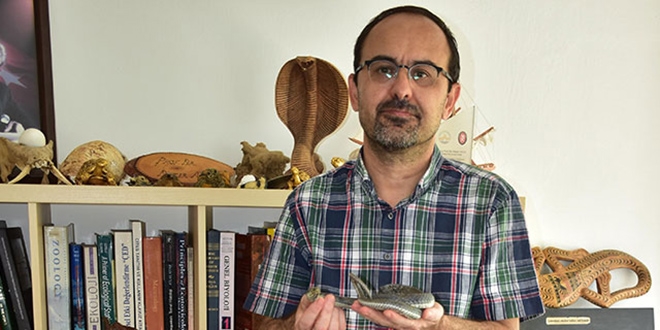 Uzmanı yanıtladı... Yılanlar deprem habercisi mi?