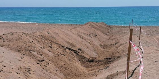 Caretta carettaların yuvaları için belediye böyle önlem aldı