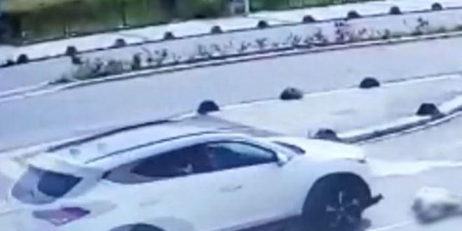 Köpeğe çarpıp kaçan akademisyen hakkında suç duyurusu