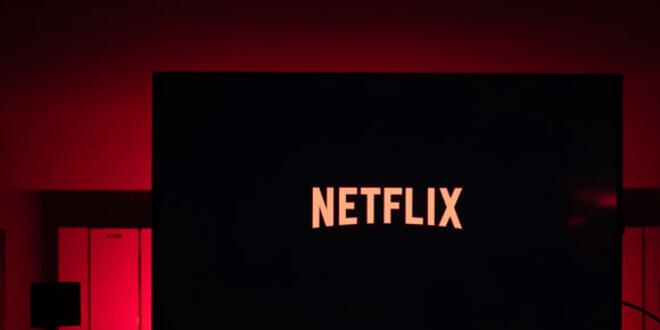 Netflix Meclis'in internetini yedi