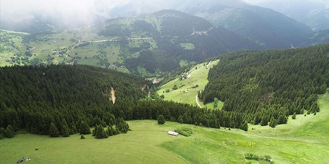 Çam ormanlarının huzur verdiği Kümbet Yaylası cezbediyor