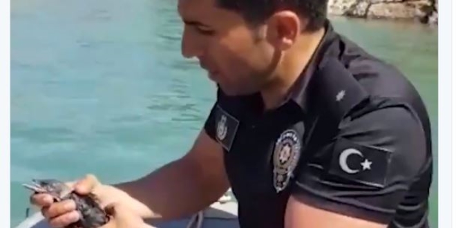 Nehirde mahsur kalan bir karga polis ekiplerince kurtarıldı
