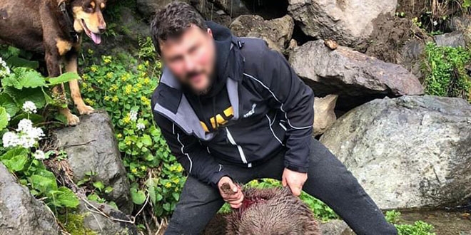 Yavru boz ayıyı vuran şahsa 30 bin 608 TL para cezası