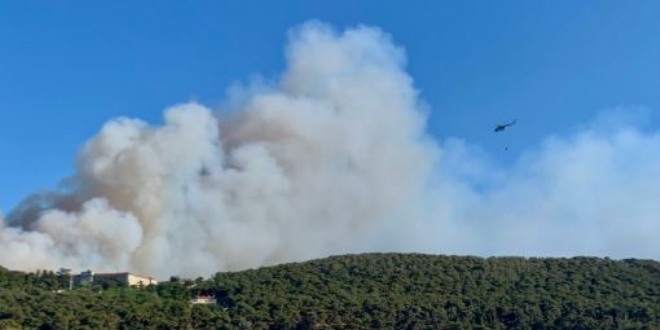 Heybeliada'da korkutan yangın