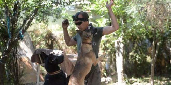 Kurt köpeklerini eğitip emniyet teşkilatına hibe ediyor