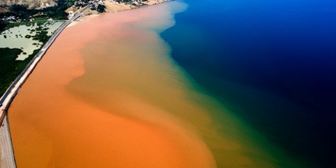 Van G�l� k�z�la boyand�