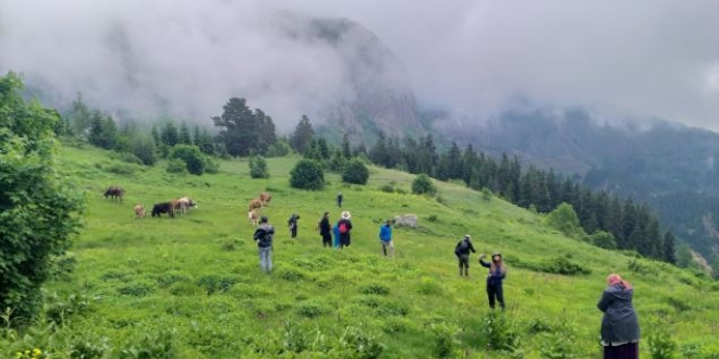 Artvin'de Maden köy şelalesi keşfedilmeyi bekliyor