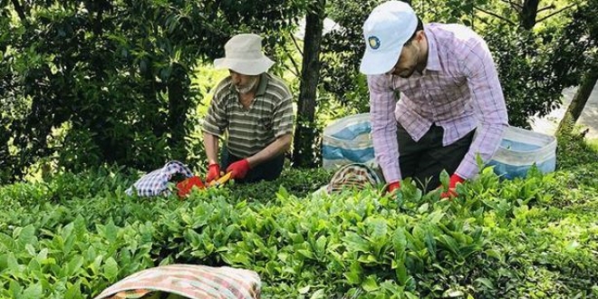 T�rk �ay� y�l�n ilk yar�s�nda 7,5 milyon dolar kazand�rd�