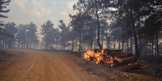 Çanakkale'de orman yangını kontrol altına alındı