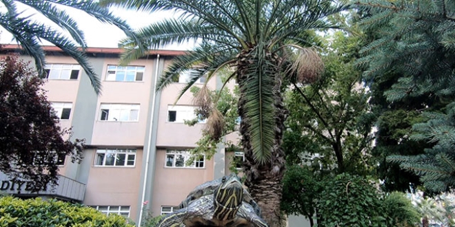Kaplumbağalar belediyenin maskotu oldu