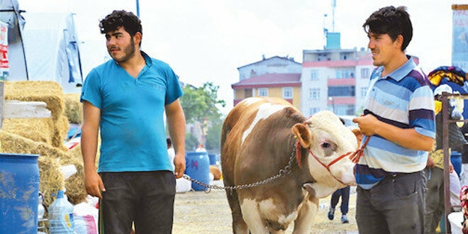 Salgına rağmen kurban pazarları doldu