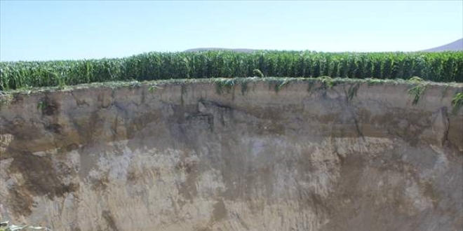 Konya'da yeni olu�an obru�u tarlay� sulayan i��i fark etti