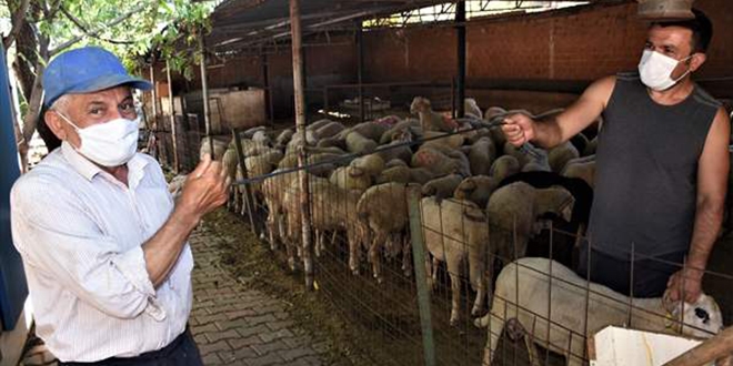 Kurban pazarında 'tek kullanımlık' iple pazarlık