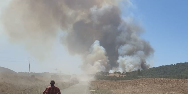 Tarihi Gelibolu Yarımadası yine alevlere teslim oldu