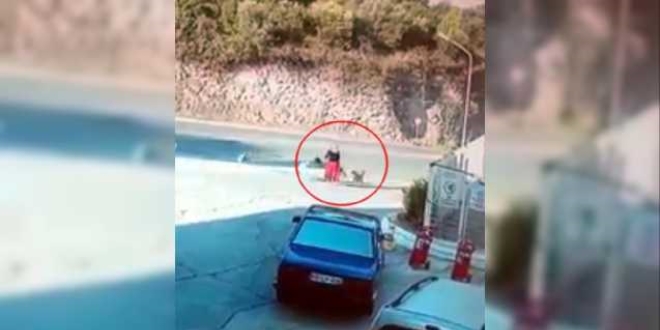 Köpeklerin saldırısına uğrayan kadın böyle kurtarıldı