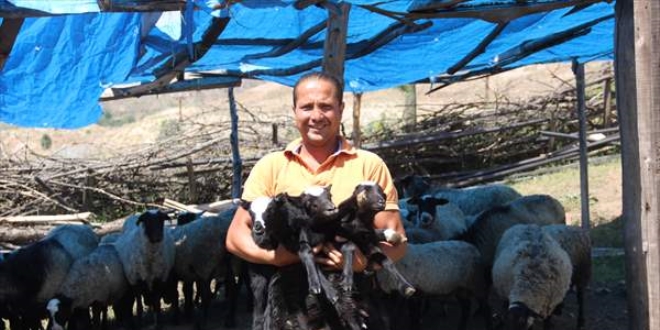 �� dil bilen i�letmeci yurt d���ndaki kariyerini b�rak�p k�y�ne d�nd�