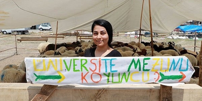'Üniversite mezunu koyuncu' afişi ile kurbanlık satıyor