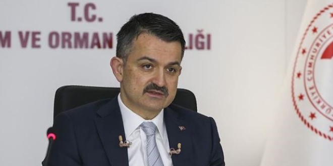 Bakan Pakdemirli mısır alım fiyatını açıkladı