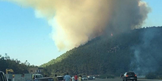 İzmir'de orman yangını çıktı