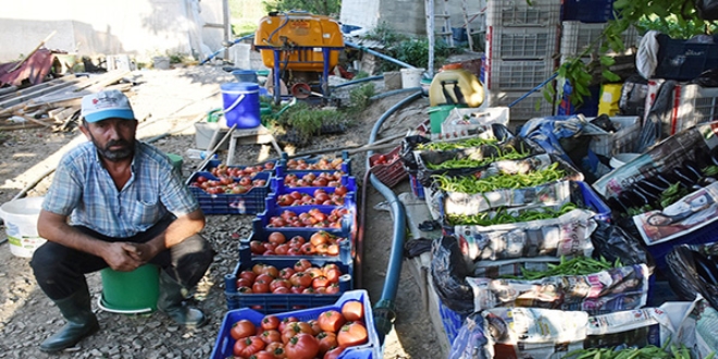 Omuz omuza veren �ift 17 y�ld�r ekmeklerini topraktan kazan�yor