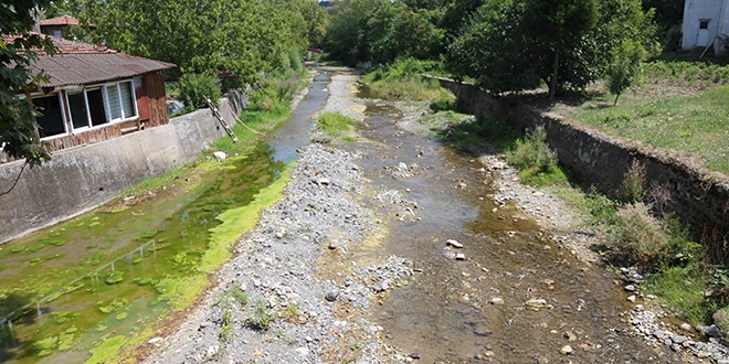 Dereye at�lan kurban at�klar� 150 ki�iyi hastanelik etti