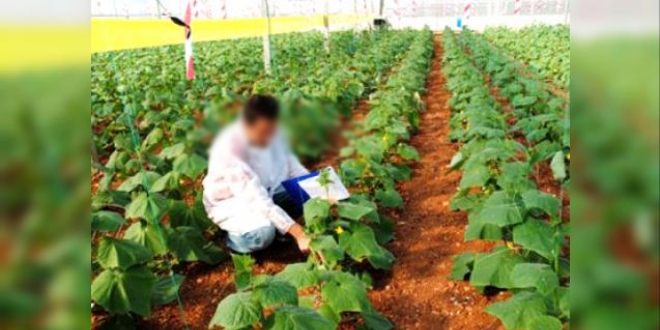 Ziraat teknisyeni, 10 yıl sonra, açtığı davayı kazandı