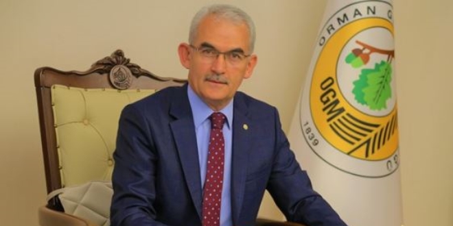Yanan orman alanlarına villa yapılır mı?