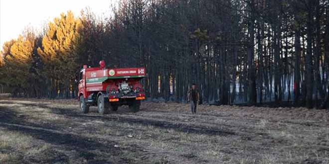 Balya makinesinden s��rayan k�v�lc�mlar orman yang�n�na neden oldu