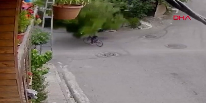 �sk�dar'da a�a� bisikletli �ocu�un �st�ne devrildi
