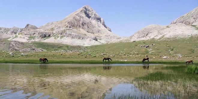 Doğa tutkunlarının uğrak adresi: Kepır Gölü