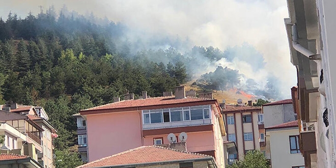 Ankara'da orman yangn, ekipler mdahale ediyor