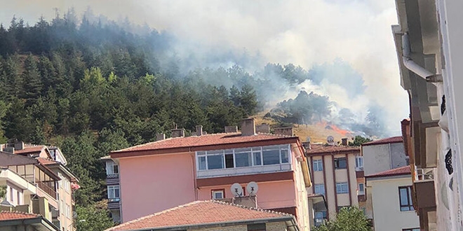Ankara'da orman yangını, ekipler müdahale ediyor