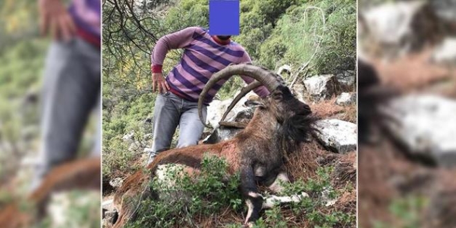 Dağ keçisi avlayan vatandaşa 23 bin 288 TL cezası kesildi
