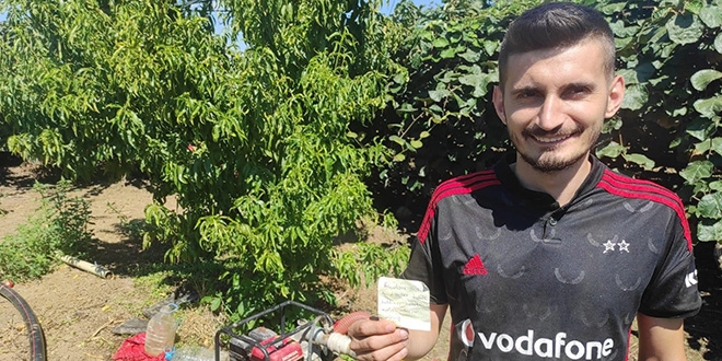 İnsanlık ölmemiş...Topladığı şeftalinin parasını ağaca astı