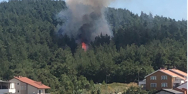 Bursa'da yangın villalara sıçradı, 1 kişi gözaltında