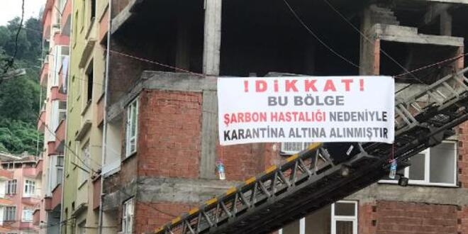 Kesilen büyükbaş şarbonlu çıktı, mahalle karantinaya alındı