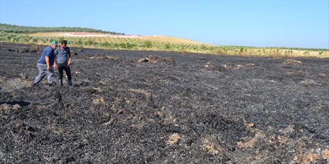 Manisa'da g�k ta�� d��t��� iddias�